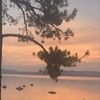 christinep626